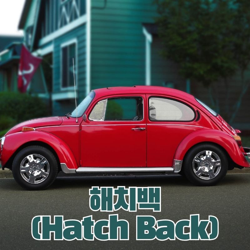 해치백 (Hatch Back)