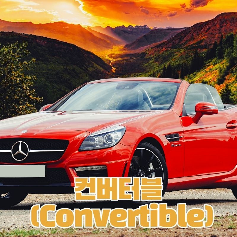 컨버터블 (Convertible)