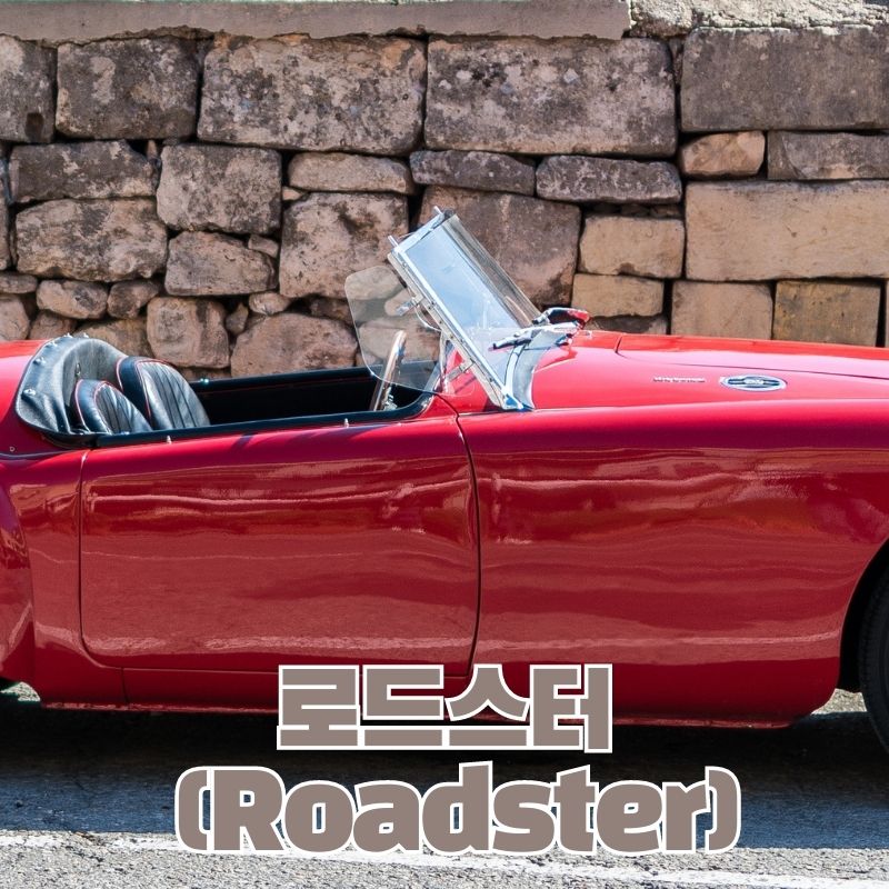 로드스터 (Roadster)